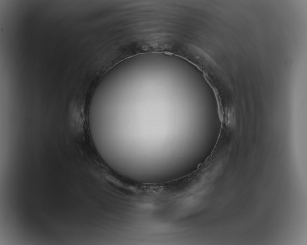 X0000089850915200706281248