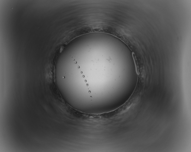 X0000089850916200706281248