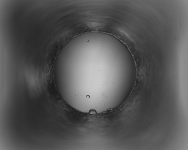 X0000089850917200706281248