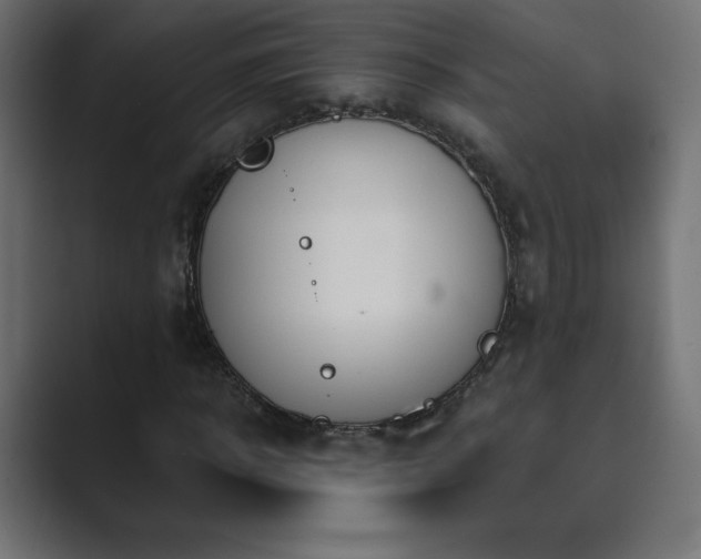 X0000089850918200706281248