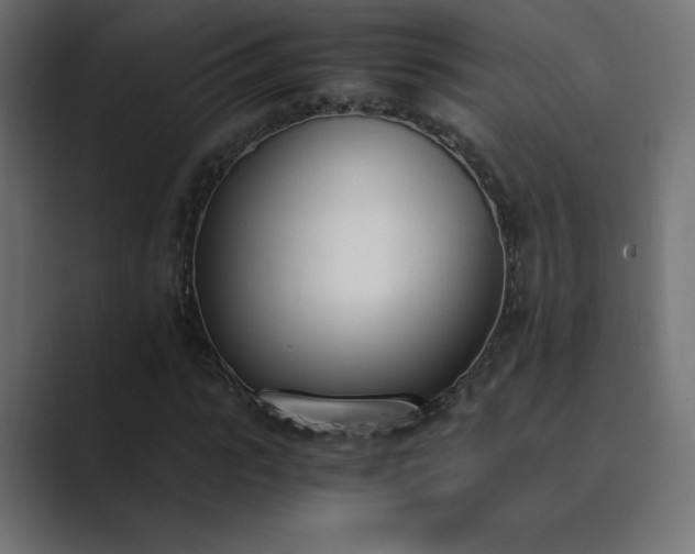 X0000089850919200706281248