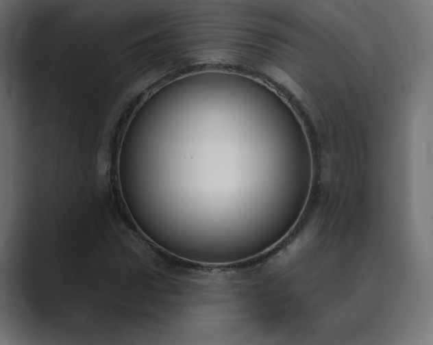 X0000089850922200706281248
