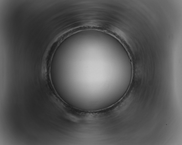 X0000089850923200706281248