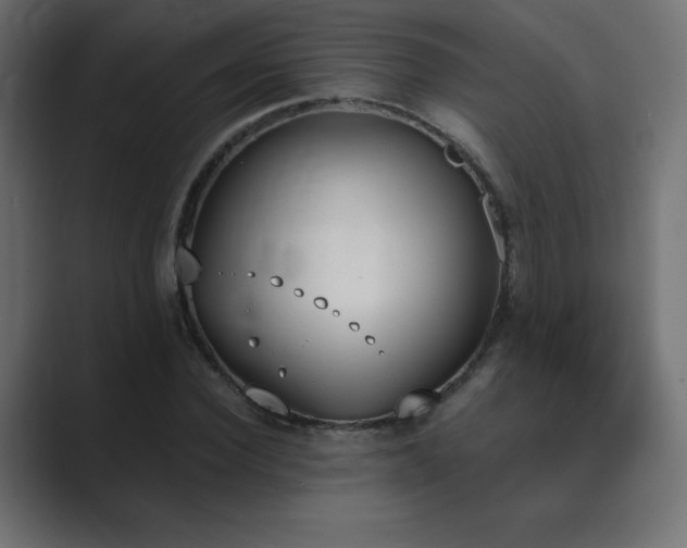 X0000089850924200706281248