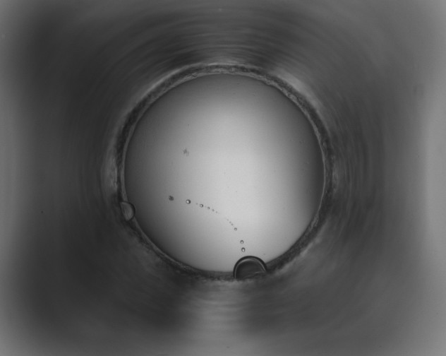 X0000089850925200706281248