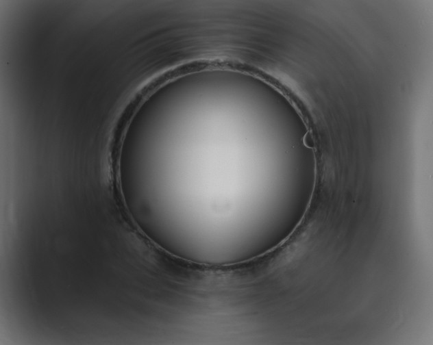 X0000089850927200706281248
