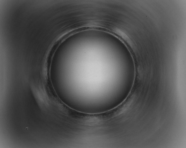 X0000089850931200706281248