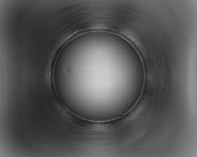 X0000089850933200706281248