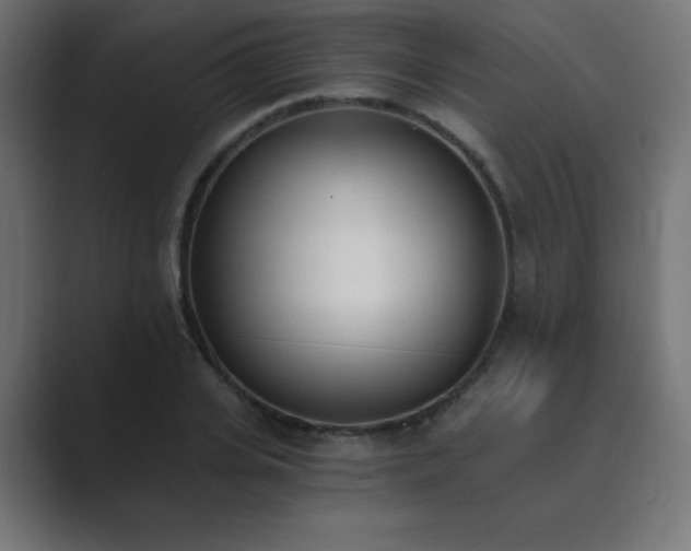 X0000089850935200706281248