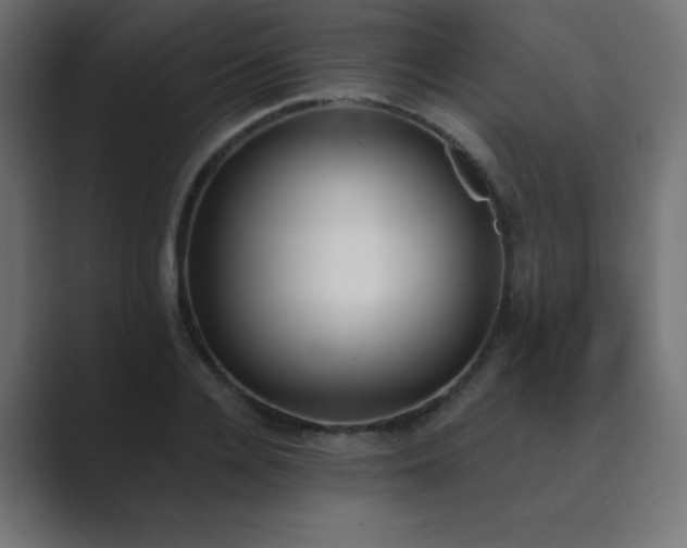 X0000089850936200706281248