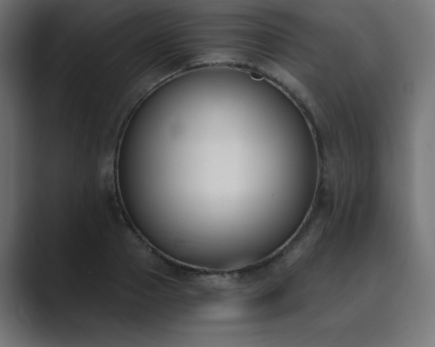 X0000089850937200706281248