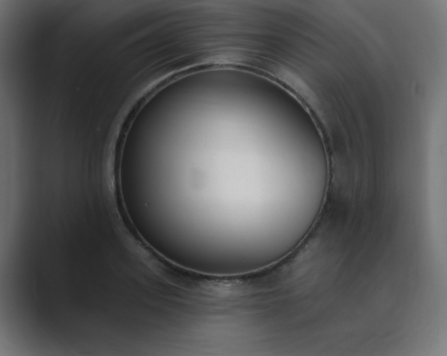 X0000089850939200706281248