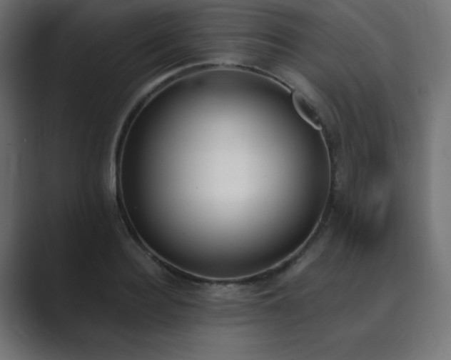 X0000089850940200706281248