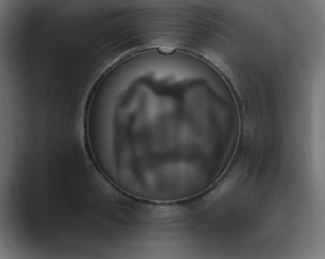 X0000089850941200706281248