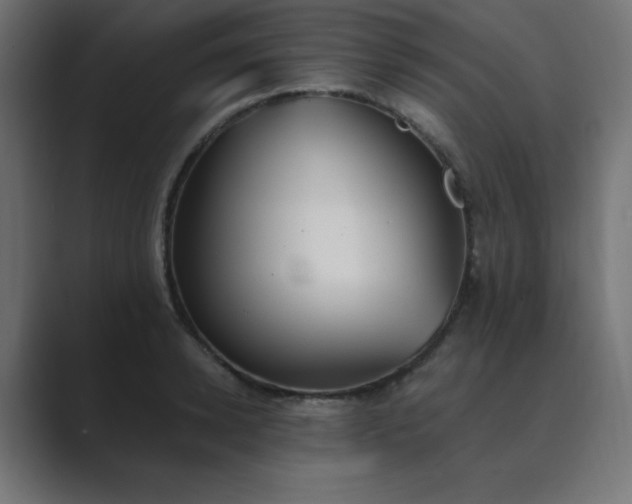 X0000089850942200706281248