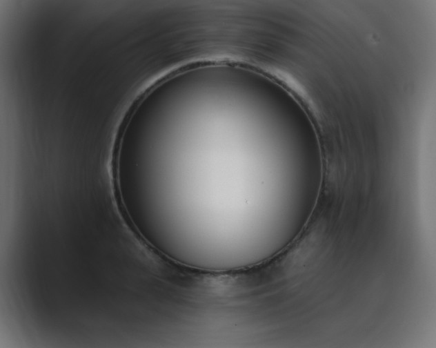 X0000089850943200706281249