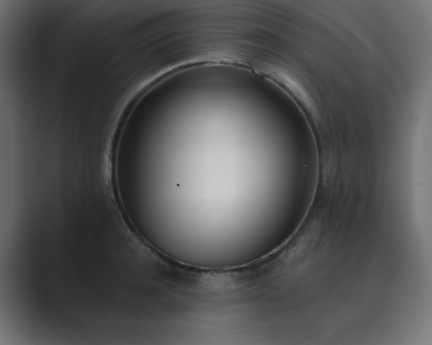 X0000089850944200706281249