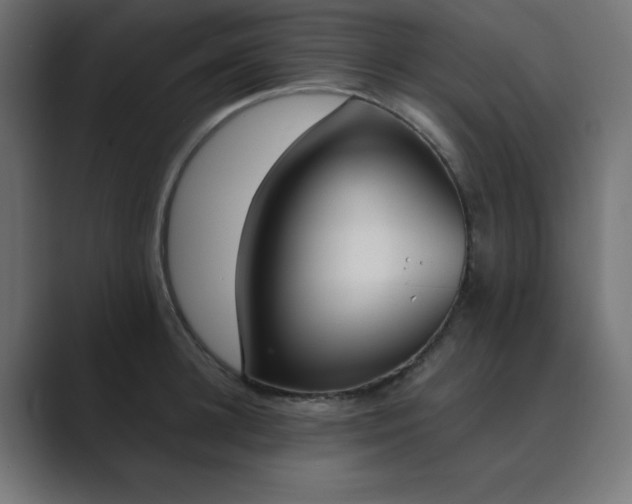 X0000089850948200706281249