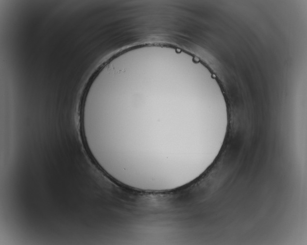 X0000089850950200706281249