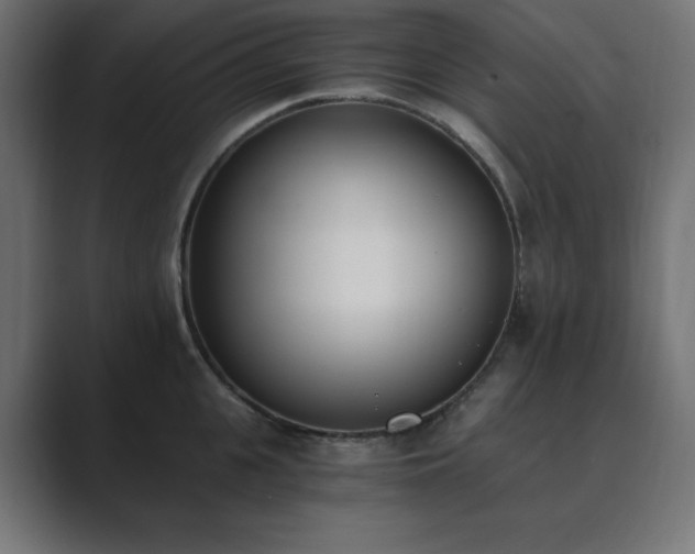 X0000089850951200706281249