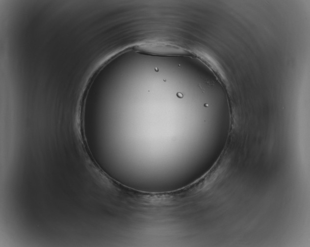 X0000089850952200706281249