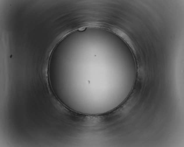 X0000089850954200706281249