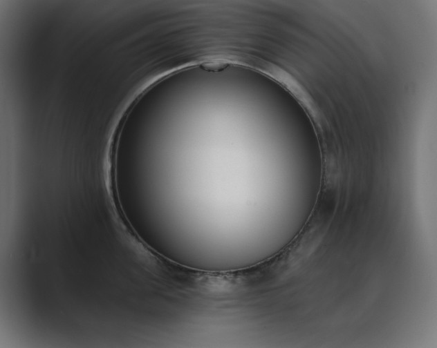 X0000089850955200706281249