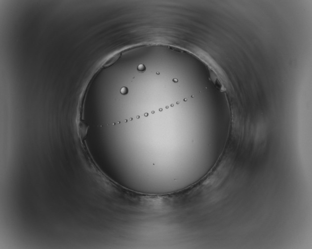 X0000089850956200706281249