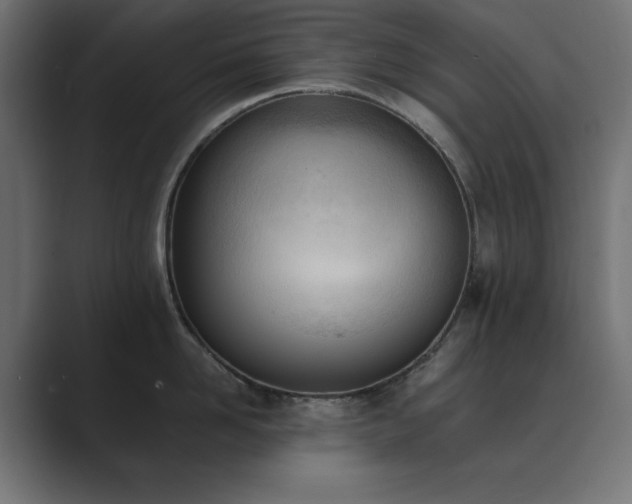 X0000089850958200706281249