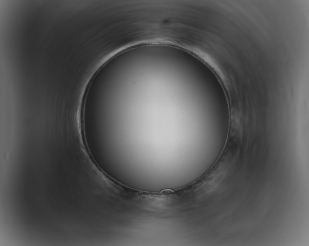 X0000089850959200706281249