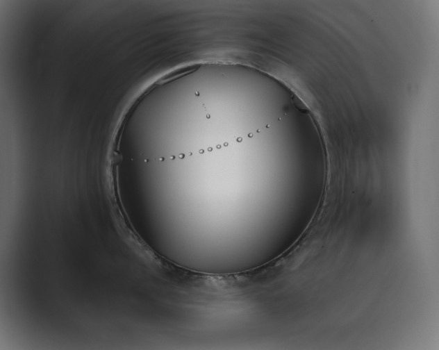 X0000089850960200706281249