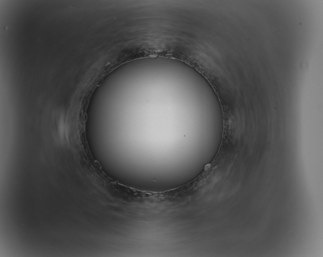 X0000089850961200706281248