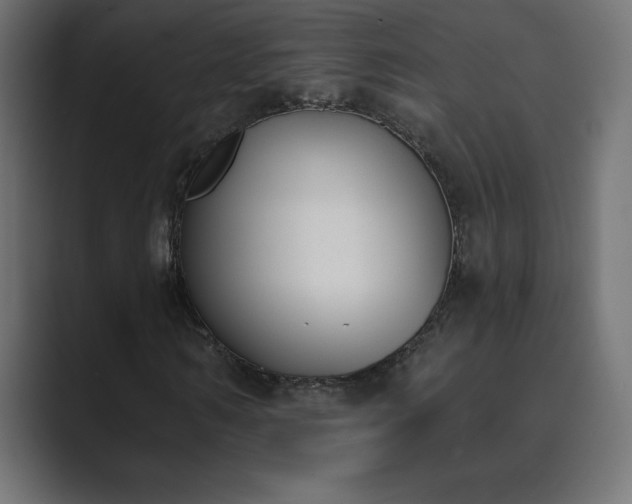 X0000089850962200706281248