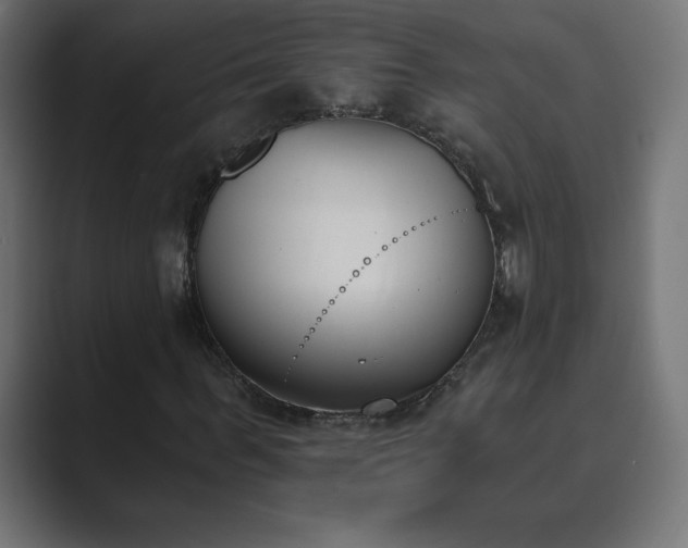 X0000089850963200706281248