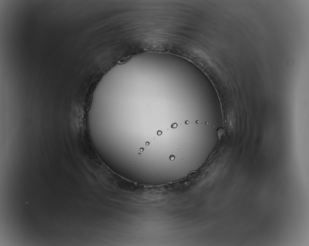 X0000089850964200706281248