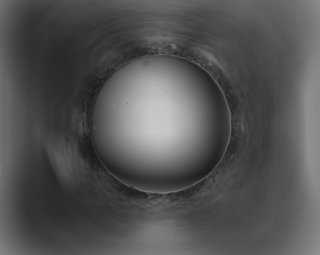 X0000089850965200706281248