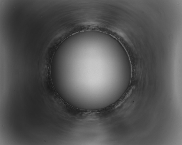 X0000089850967200706281248
