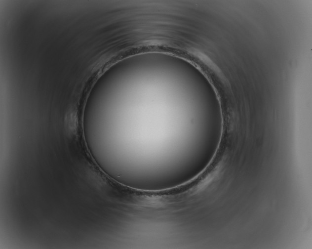 X0000089850969200706281248
