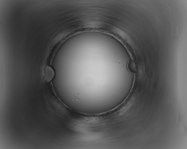 X0000089850970200706281248