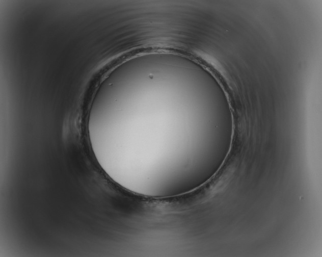 X0000089850971200706281248