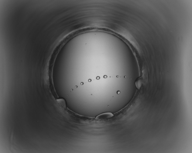 X0000089850972200706281248