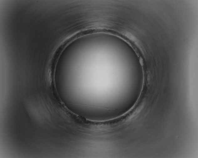 X0000089850973200706281248