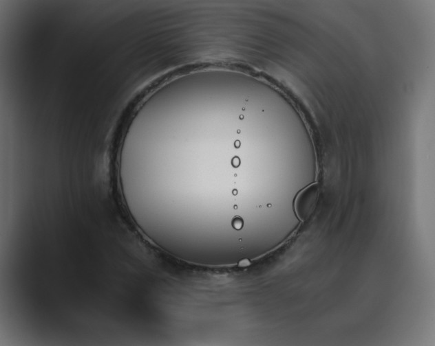 X0000089850975200706281248