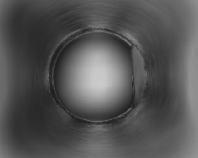 X0000089850976200706281248