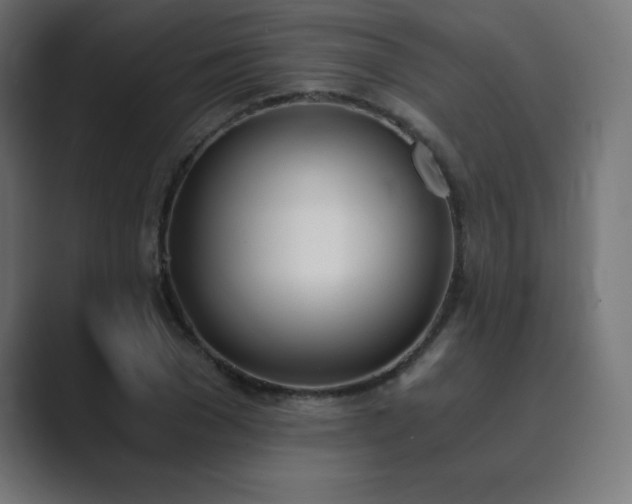X0000089850977200706281248