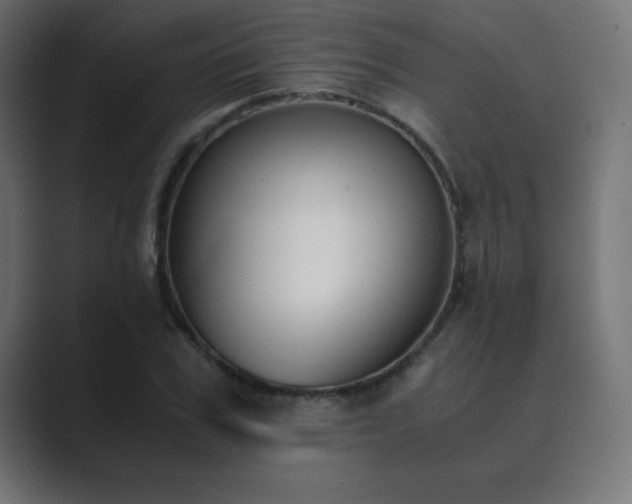 X0000089850979200706281248