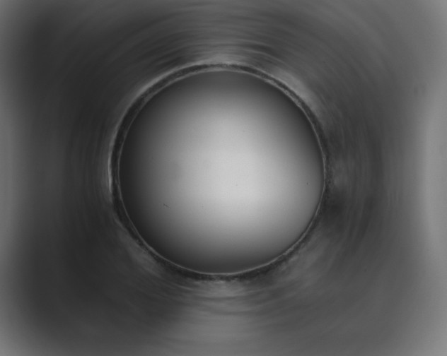 X0000089850980200706281248