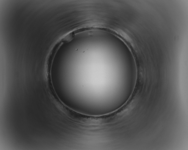 X0000089850981200706281248