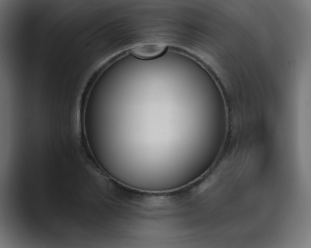 X0000089850982200706281248