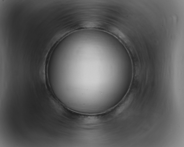 X0000089850986200706281248